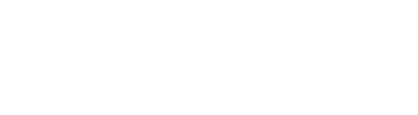 parkomatic logo alb